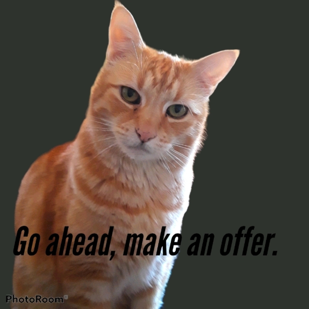 Doyle says it's ok.  We welcome offers and bundles